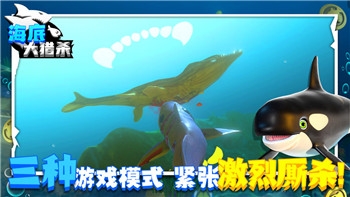 极无双武将排行：2025年极无双游戏中最强武将全解析，助你轻松制霸战场