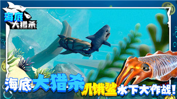 姬魔恋战纪抢亲二战：新玩法揭秘及其背后的故事分析