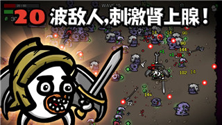 拳皇命运高尼茨芯片的强大性能与未来潜力分析