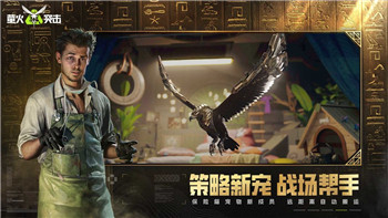 机器人大乱斗鲤鱼第四章的全新挑战与策略分析，探索游戏背后的深层机制