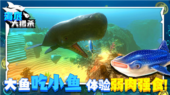 深海水族馆极地隐藏鱼大全：探索神秘水域中的独特鱼类种群